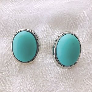 Pierced turquoise colored earrings